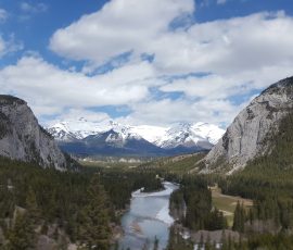 Fairmont Banff Springs Bow River room view