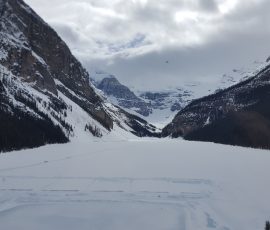 Fairmont Lake Louise Lakeview room