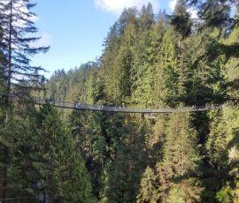 Capilano Suspension Bridge
