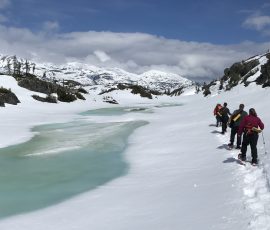 British Columbia - White Rail Pass - Snow shoeing